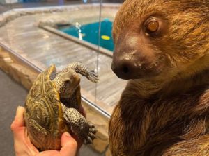 Hey everyone, Wally here!