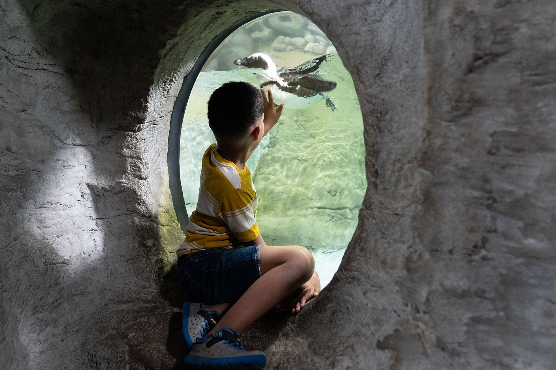 Vibrant Easter sale advertisement at Jenkinsons with discounts, Easter eggs, and cheerful spring decorations.