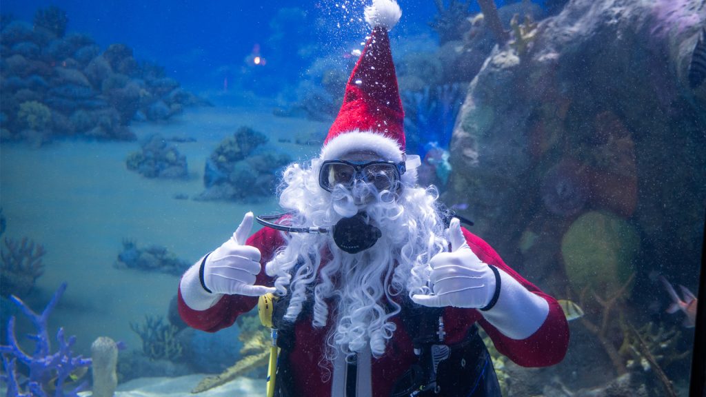 Diving Santa