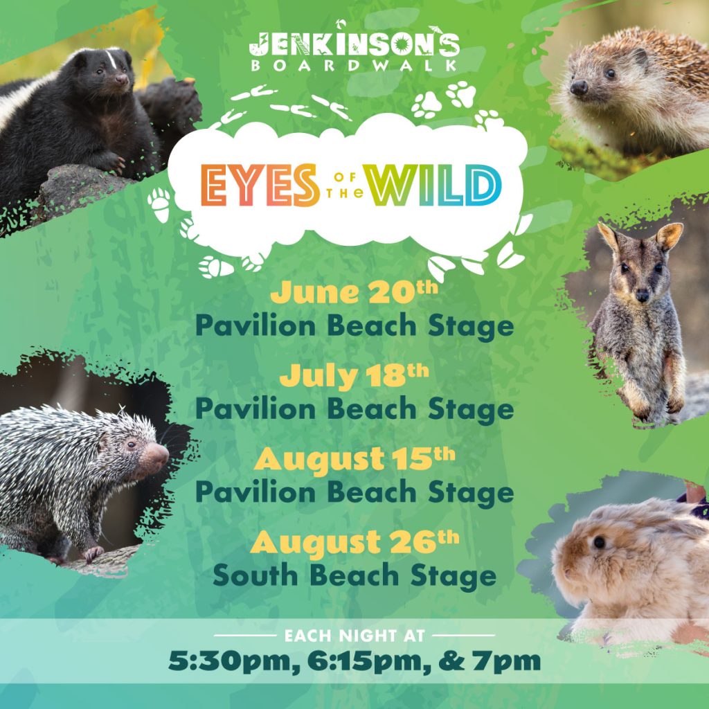 eyes of the wild animal shows at jenkinsons boardwalk summer 2025