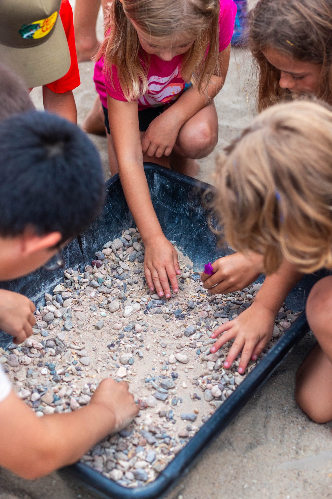 dino fossil hunt at jenkinsons boardwalk on july 14th and august 27th