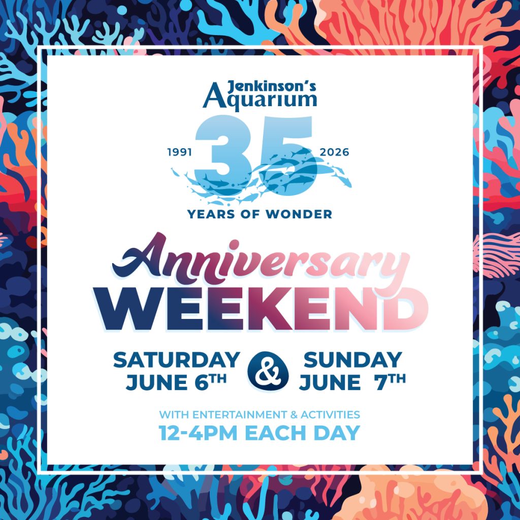 jenkinson's aquarium 35th anniversary weekend june 6th and 7th