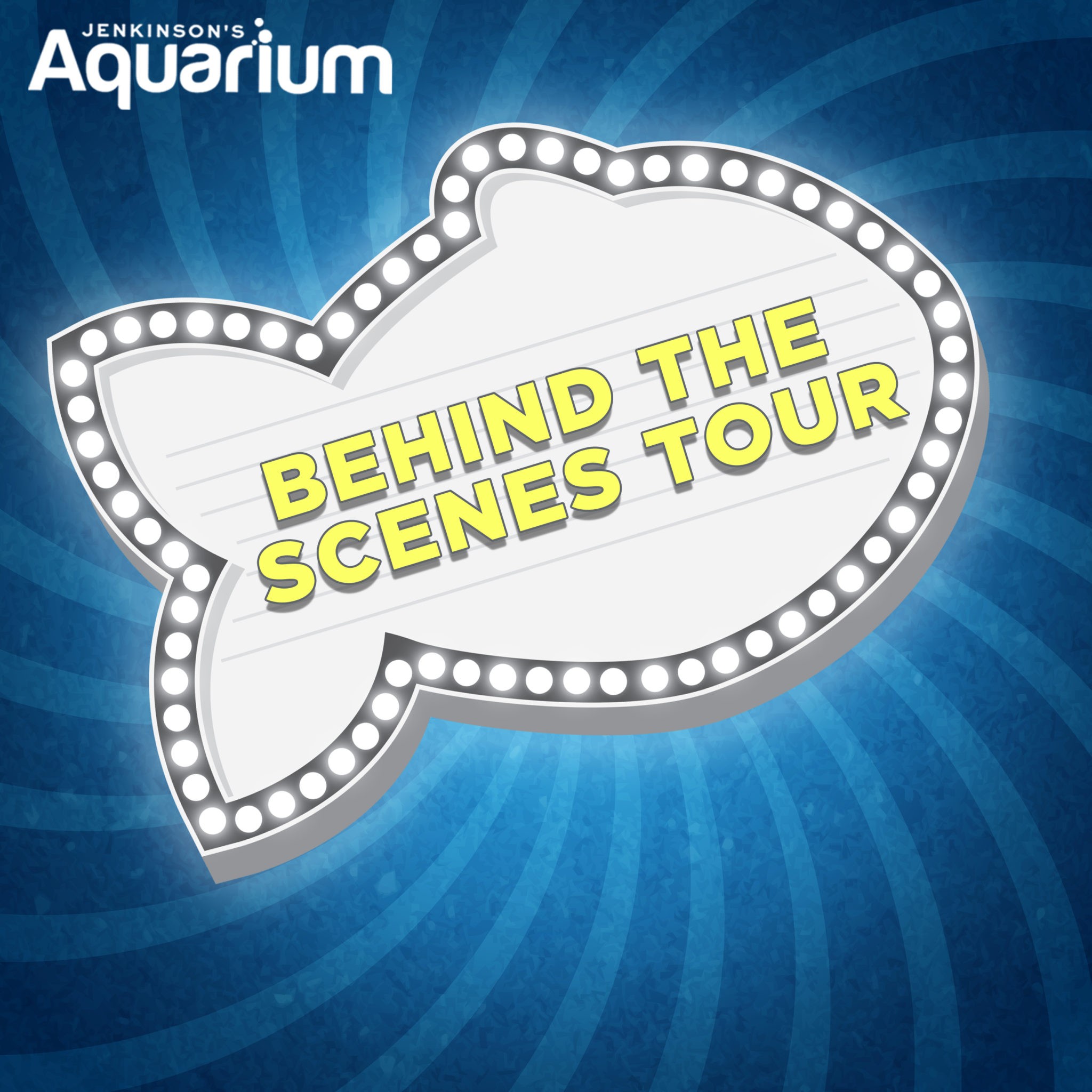 Jenkinson's Aquarium behind the scenes tour: Explore the hidden wonders of the aquarium. Discover the secrets of marine life up close.