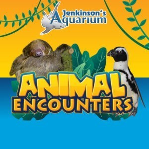 animal encounters
