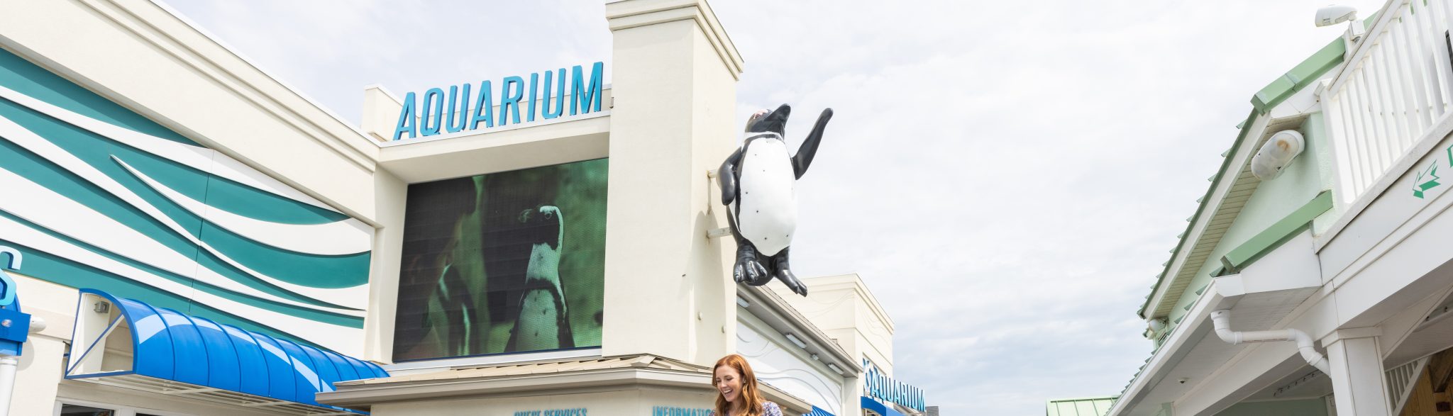 Visit | Aquarium