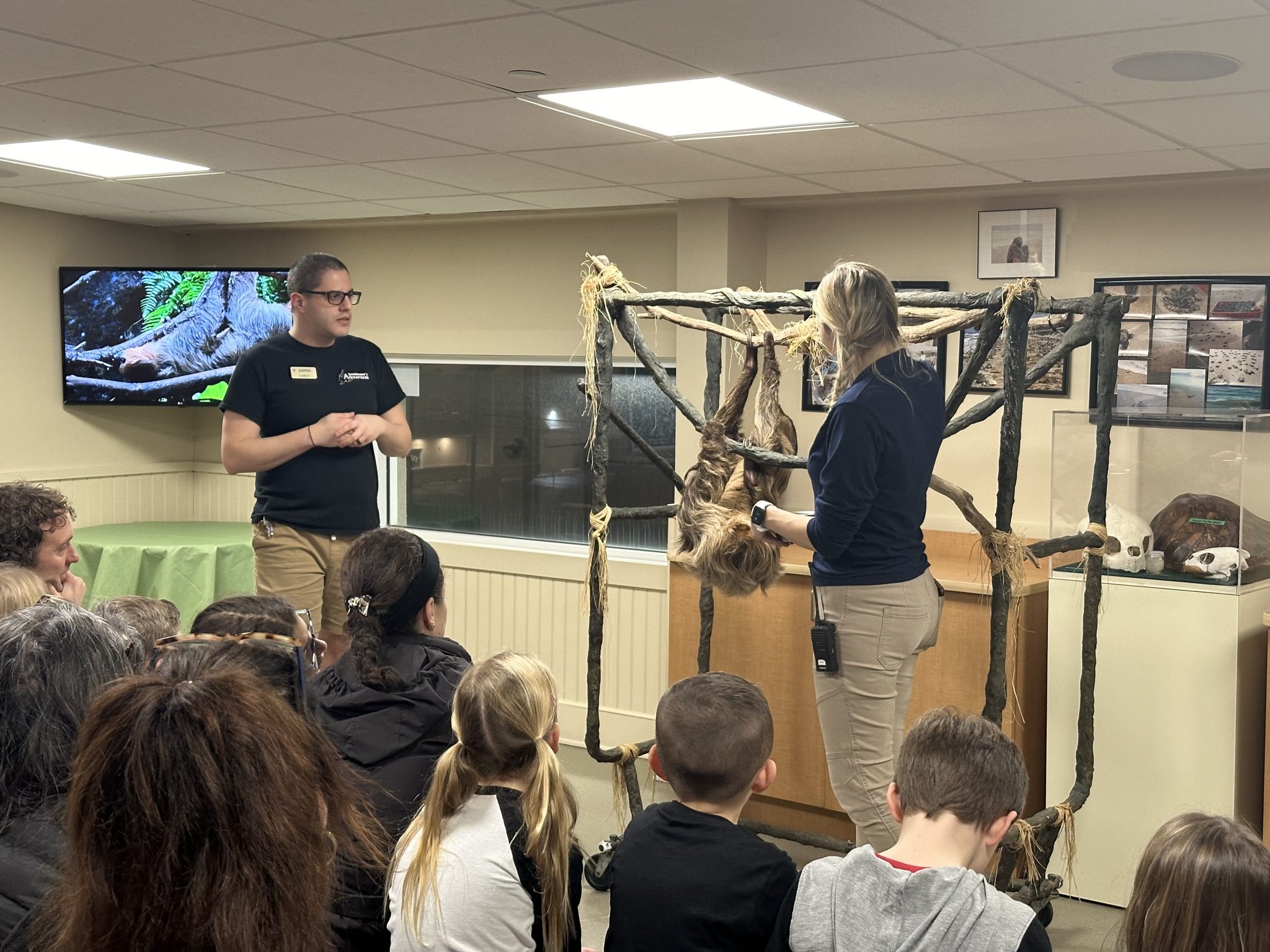 scoop on sloths at jenkinsons aquarium