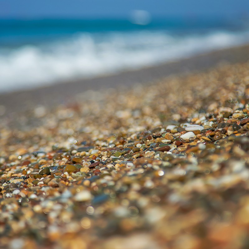 jenkinsons aquarium beach microplastic sampling