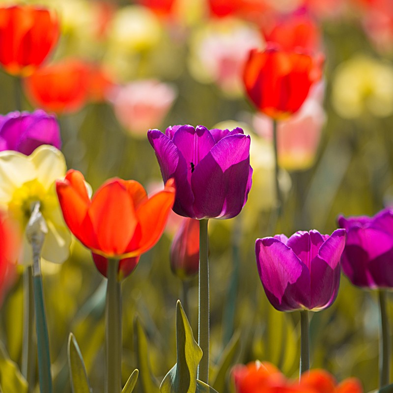 welcome to spring at jenkinsons aquarium