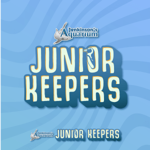 Junior Keepers (11-15 years old)