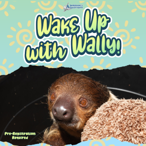 Wake up with Wally