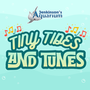 Tiny Tides & Tunes