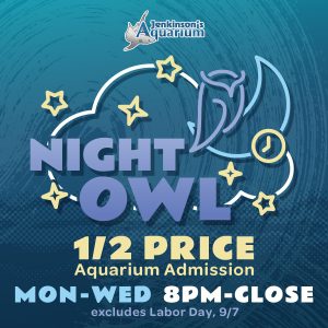 NightowlSQ 2026