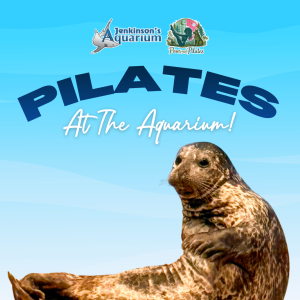Pilates