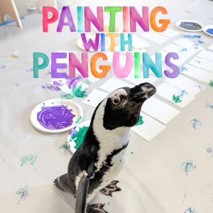 Painting with Penguins